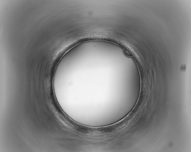 X0000092050677200709121025