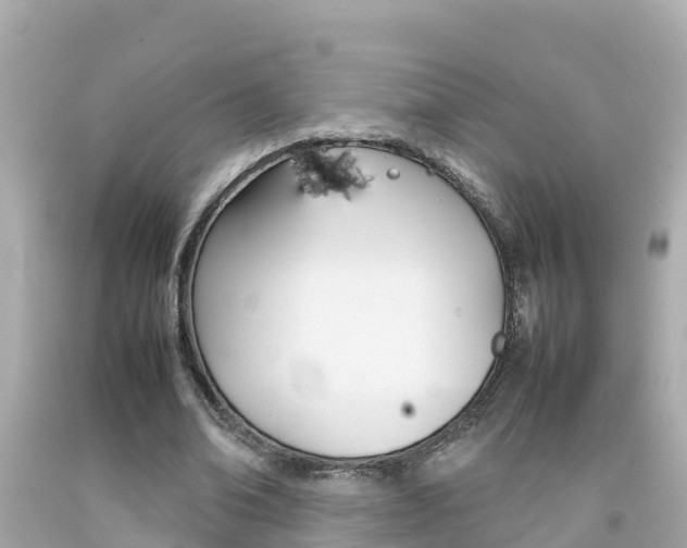 X0000092050678200709121025
