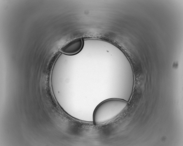 X0000092050679200709121025