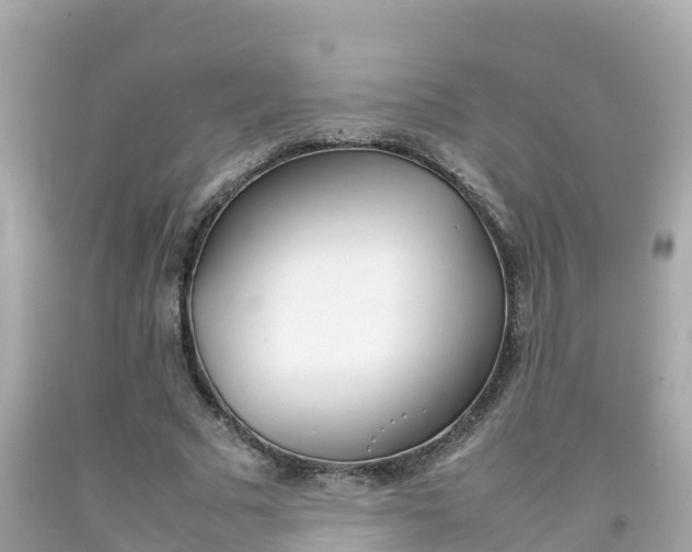 X0000092050681200709121025