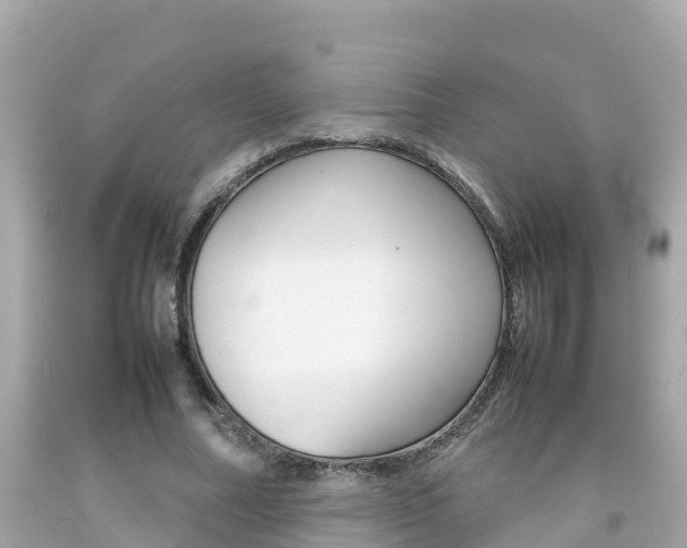 X0000092050682200709121025