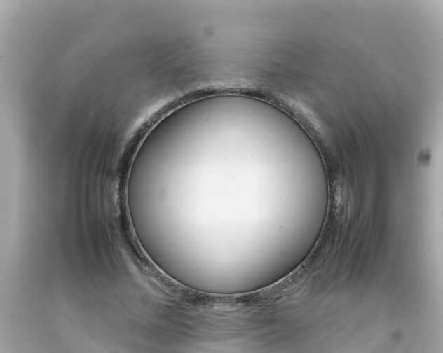 X0000092050684200709121025