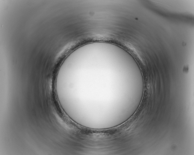 X0000092050686200709121025
