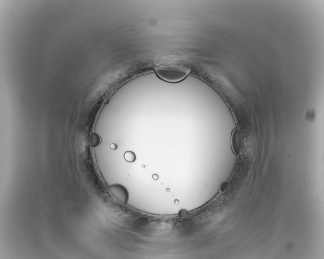 X0000092050687200709121025