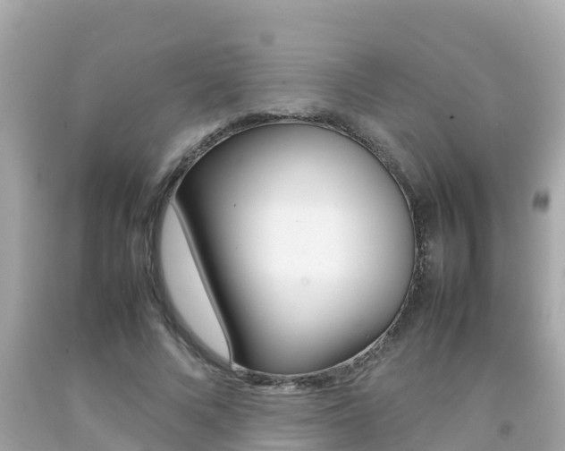 X0000092050688200709121025