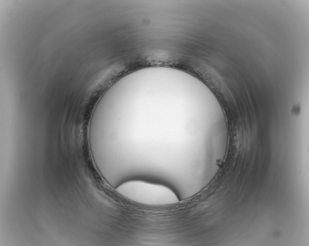 X0000092050690200709121025