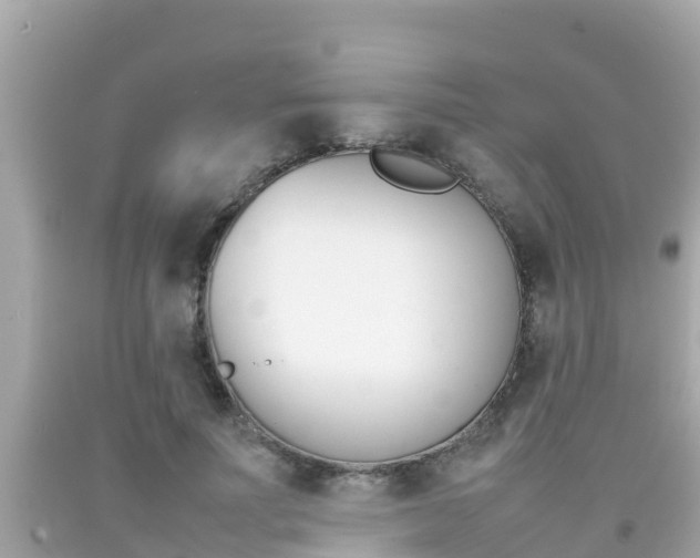 X0000092050691200709121025