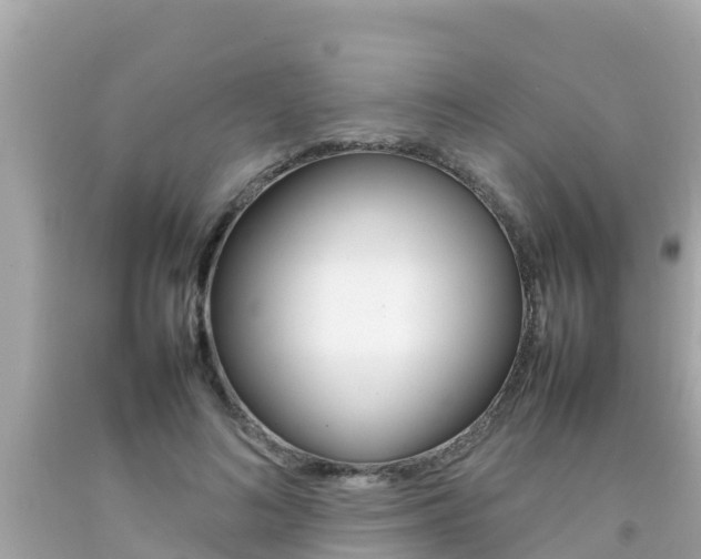 X0000092050692200709121025