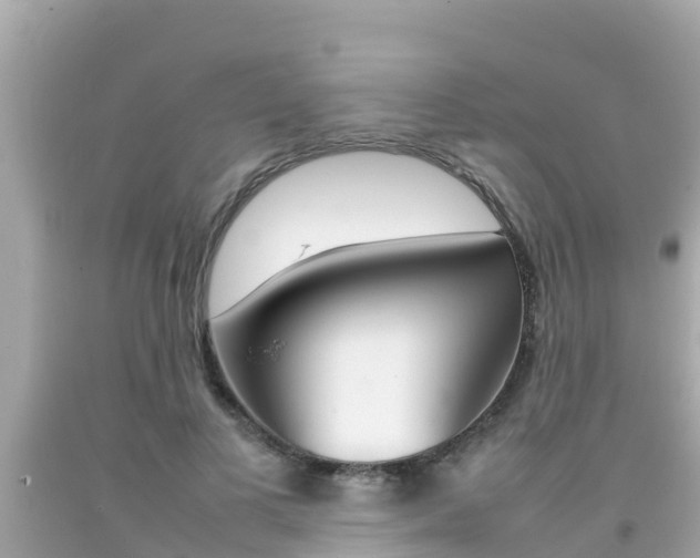 X0000092050693200709121025