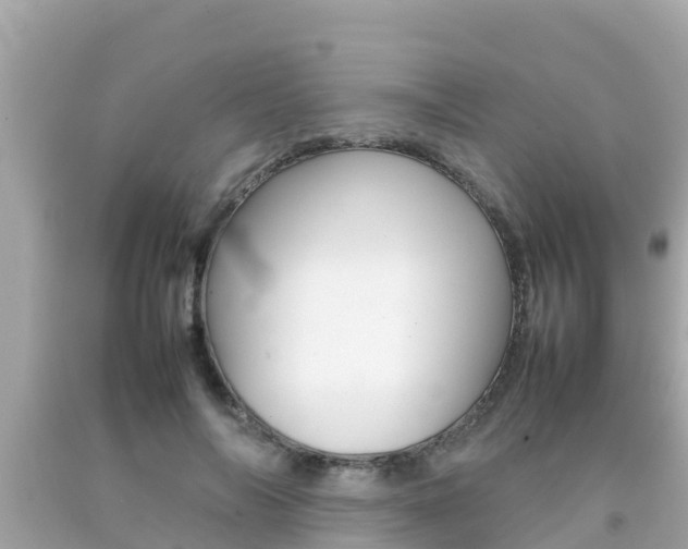 X0000092050694200709121025