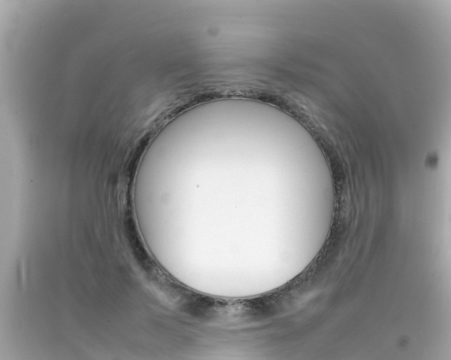 X0000092050695200709121025