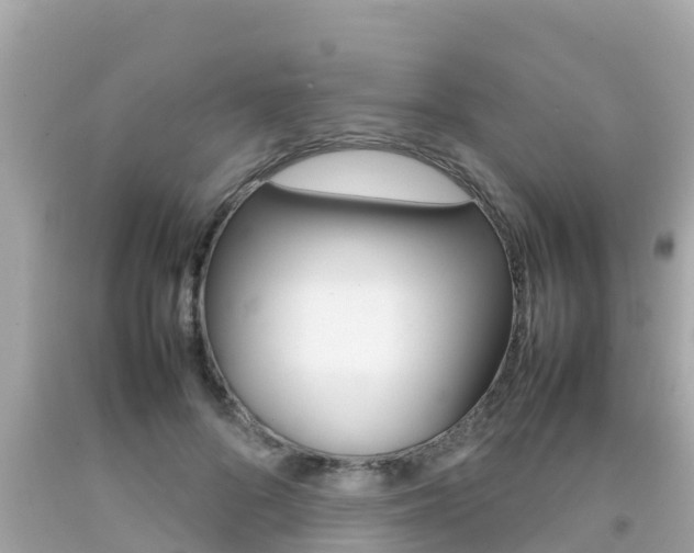 X0000092050696200709121025
