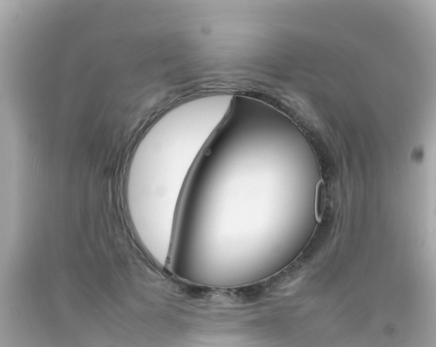 X0000092050697200709121025