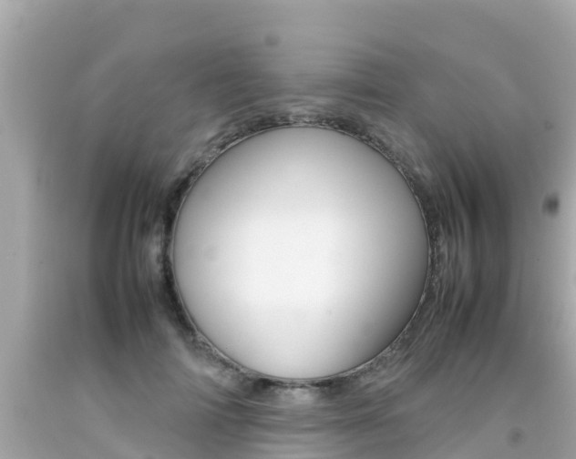 X0000092050698200709121025