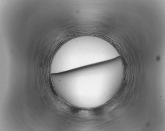 X0000092050699200709121025