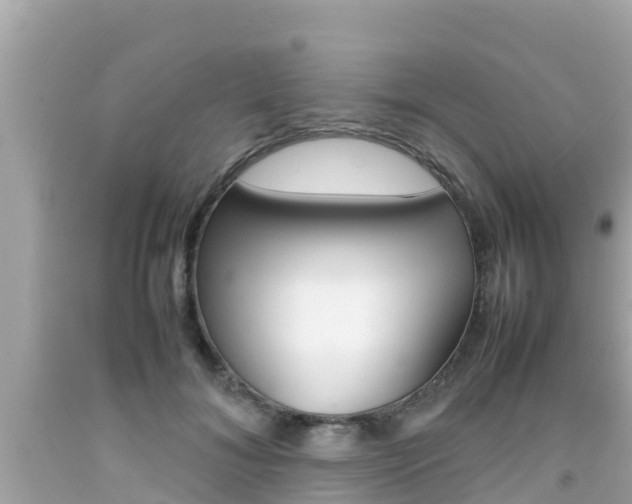 X0000092050700200709121025