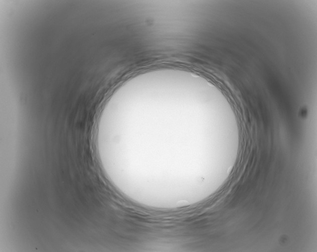 X0000092050701200709121025