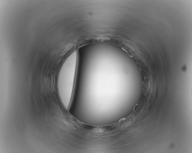 X0000092050704200709121025