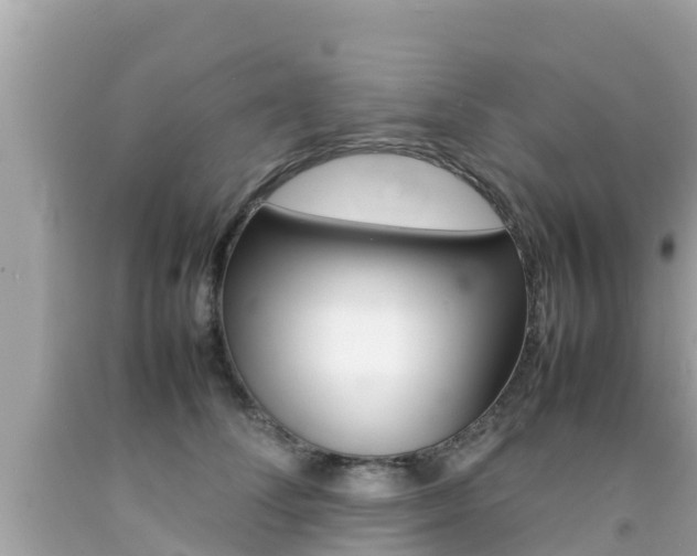 X0000092050708200709121025