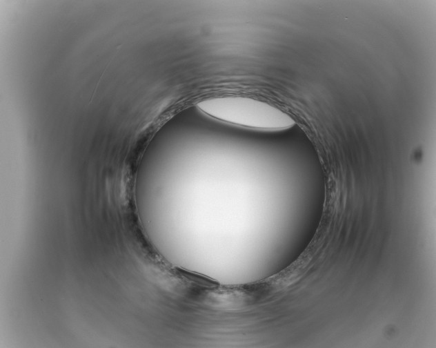 X0000092050712200709121025