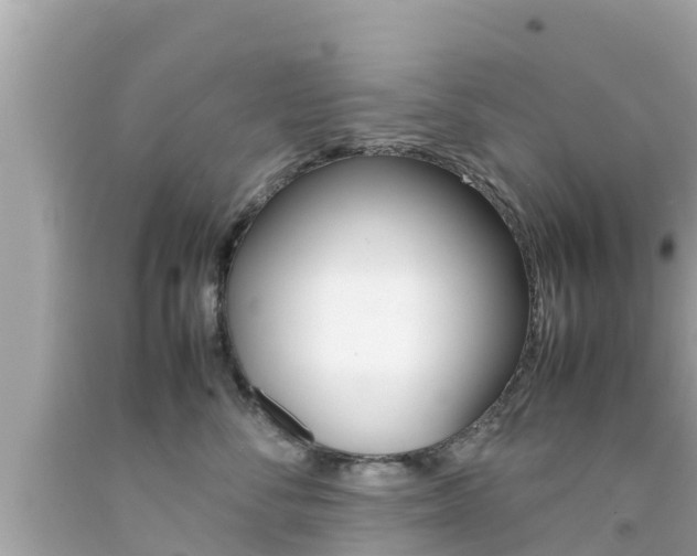 X0000092050716200709121025