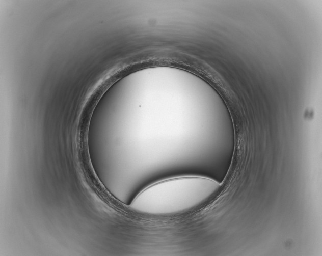 X0000092050722200709121024