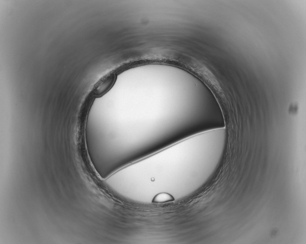 X0000092050724200709121024