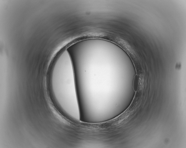 X0000092050726200709121024