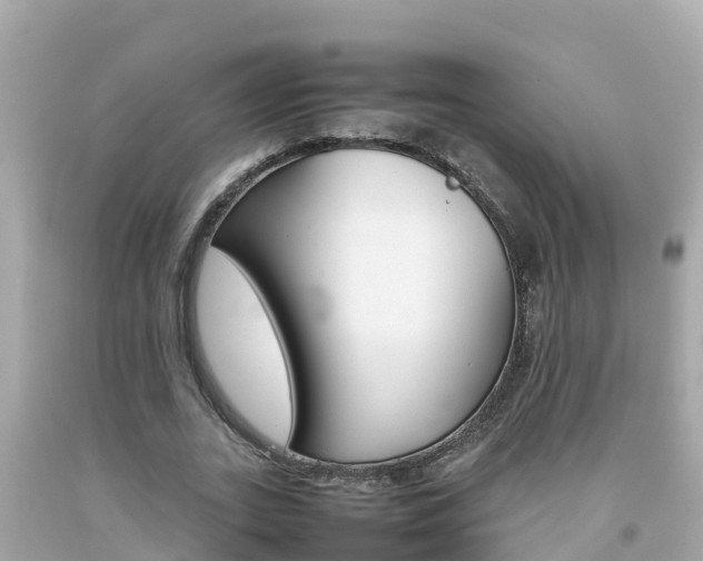 X0000092050727200709121024