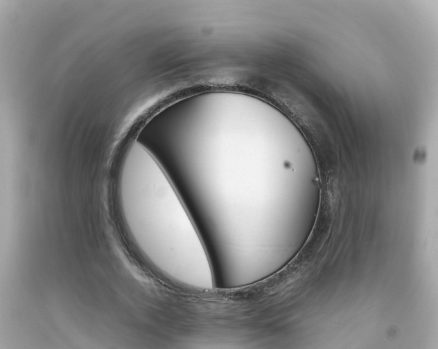 X0000092050728200709121024