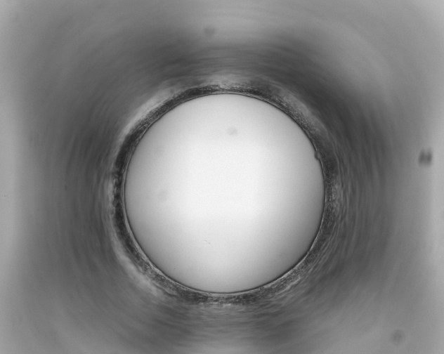 X0000092050730200709121024