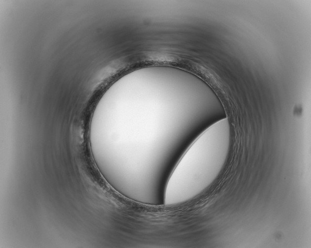 X0000092050731200709121024