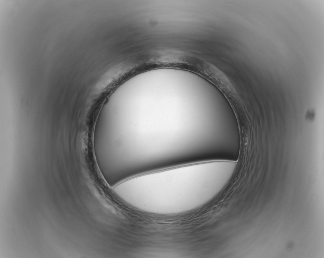 X0000092050732200709121024