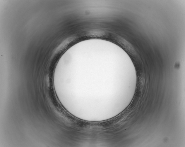 X0000092050734200709121024