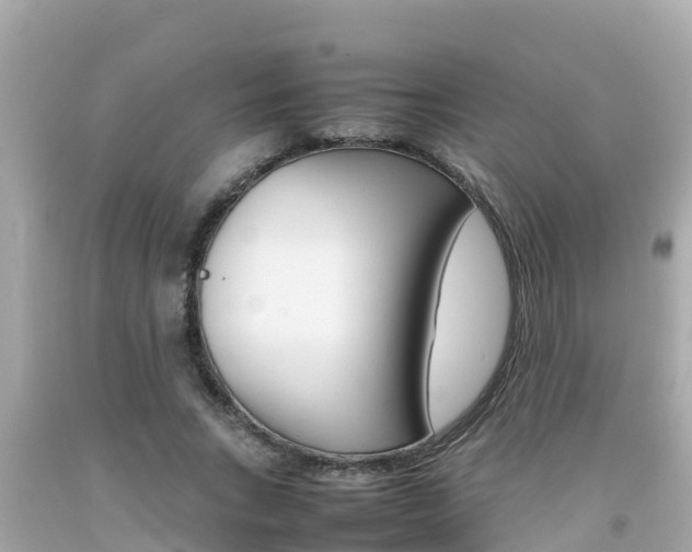 X0000092050735200709121024