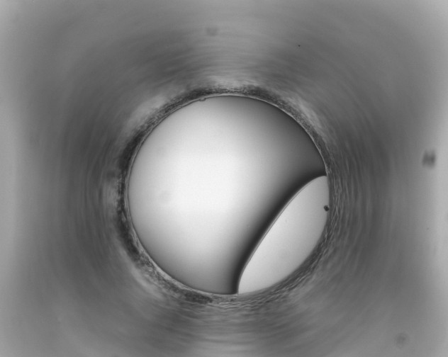 X0000092050736200709121024