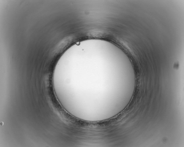 X0000092050738200709121024