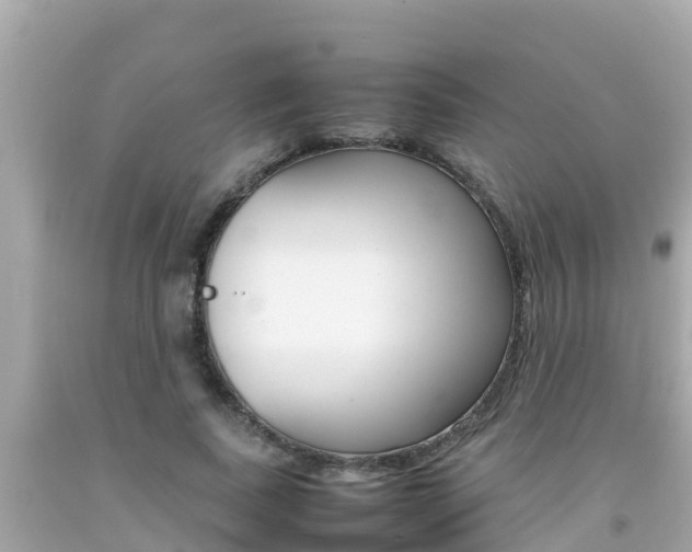 X0000092050739200709121024