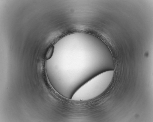 X0000092050740200709121024