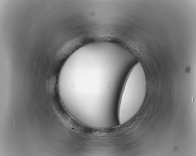 X0000092050742200709121025