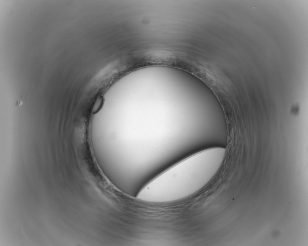 X0000092050744200709121025