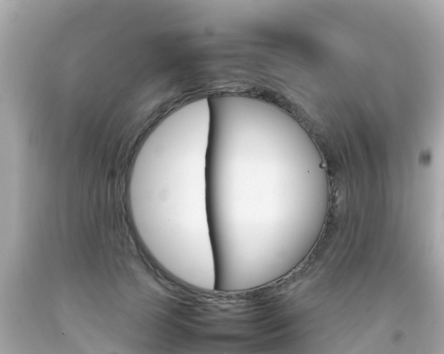 X0000092050745200709121025