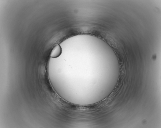 X0000092050746200709121025