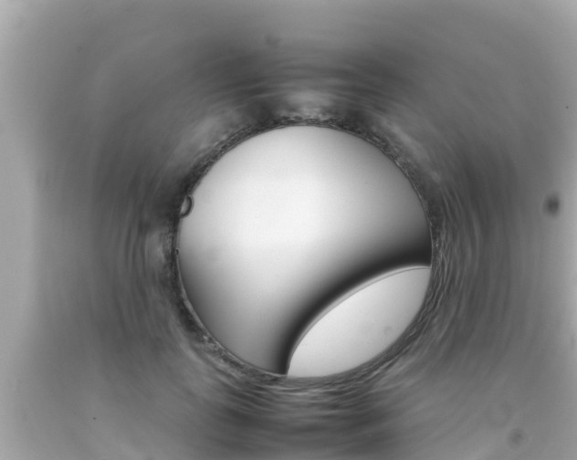 X0000092050747200709121025