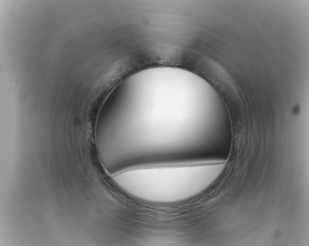 X0000092050748200709121025