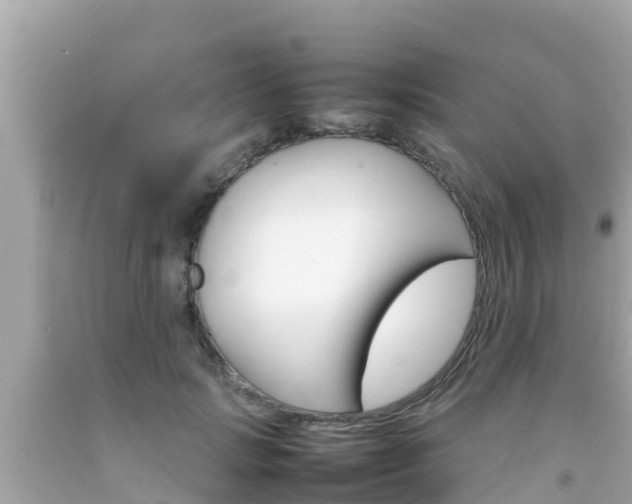 X0000092050749200709121025