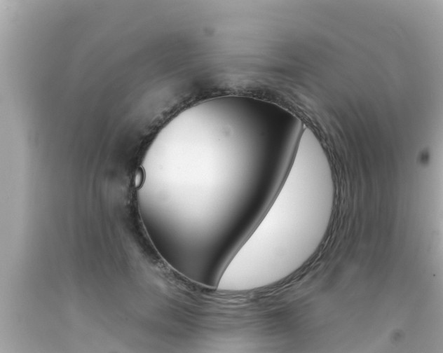 X0000092050750200709121025