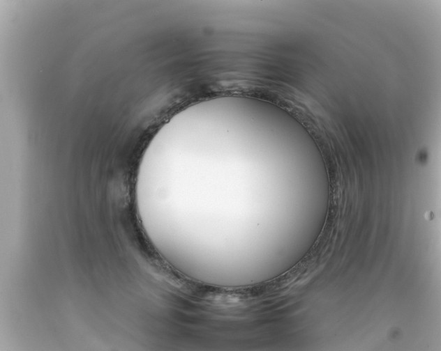 X0000092050751200709121025