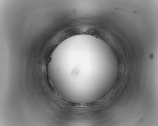X0000092050754200709121025