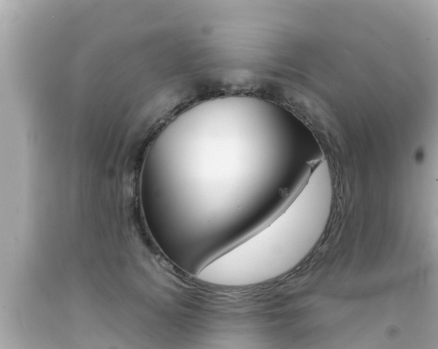 X0000092050756200709121025